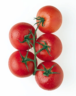 Vine Ripened Tomatoes Drucke: Cherry tomatoes