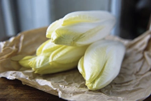 Flowering Plant Pictures Drucke: Chicory