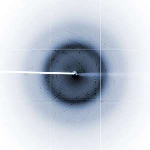 Electron Microscopy Images Drucke: Chikungunya virus diffraction pattern