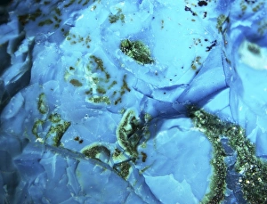 Stalactite Formations Drucke: Chrysocolla, macrophotograph