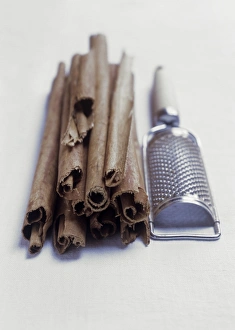 Fragrant Spices Drucke: Cinnamon