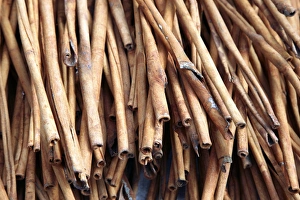 Dried Cinnamon Bark Drucke: Cinnamon sticks