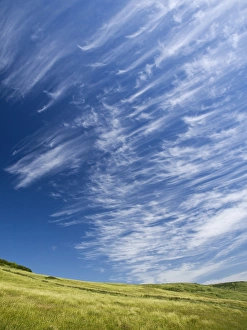 Cirrus Clouds Drucke: Cirrus clouds