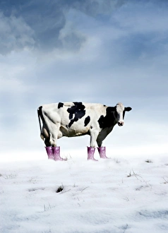 Global Warming Illustration Drucke: Climate change, artwork
