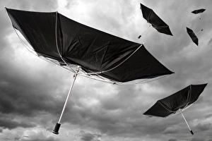 Bilder vom 7. März 2008: Klimawandel, Kompositbild
