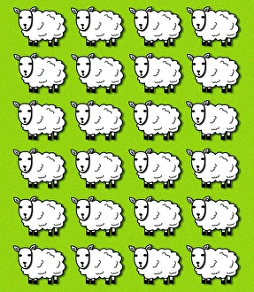 Deoxyribonucleic Acid (DNA) Drucke: Cloned sheep