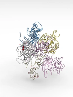 Koagulationsfaktorkomplexmolekül C014/0139