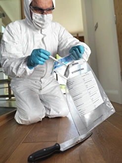 Drucke von MODELL FREIGEBEN. Die Sammlung forensischer Beweise. Ein forensicher Wissenschaftler am Tatort nimmt eine DNS-Muster von einem Messer ab Bilder Datiert 2012 Oktober: Forensische Beweise sammeln