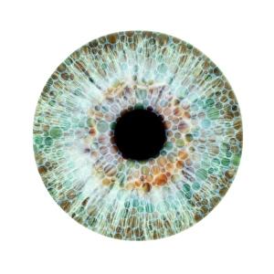 Farbenblindheit, konzeptuelles Bild