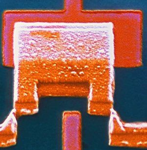 Scanning Electron Micrograph Drucke: Coloured SEM of a single-electron transistor