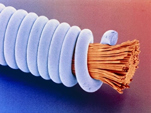 Coloured SEM Images Drucke: Coloured SEM of superwound guitar string