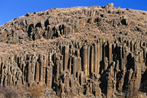Extrusive Igneous Rocks Drucke: Columnar basalt rock
