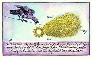 17th Century Astronomy Drucke: Comet, 1664
