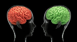 Central Nervous System Diagram Drucke: Communication, conceptual image