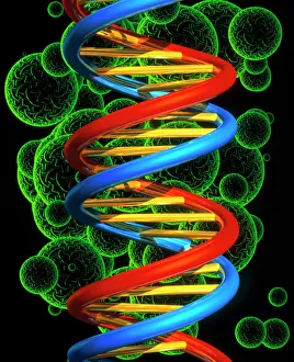 DNA Drucke: Kunstwerk aus dem Computer eines Beta-DNA-Teils und Sphären