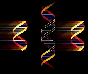 Genetic Engineering Drucke: Computer artwork of genetic engineering