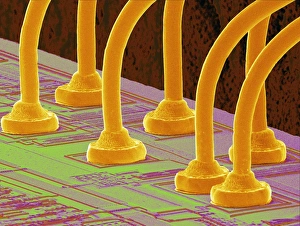 Scanning Electron Microscope Images Drucke: Computer chip, SEM