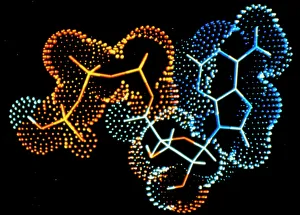 Molecular Biology Images Drucke: Computer graphic of a molecule of ATP