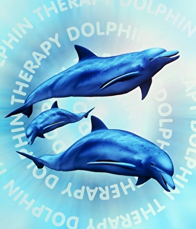 Complementary Health Care Drucke: Computer illustration of dolphin therapy