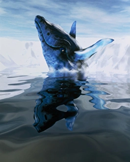 Bilder, datiert 1999: Bild der Computerillustration einer Wale Art Humpback