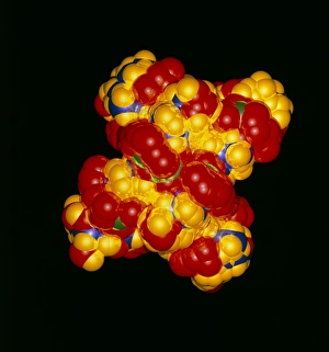 DNA Molecular Structure Drucke: Computer molecular graphic of DNA