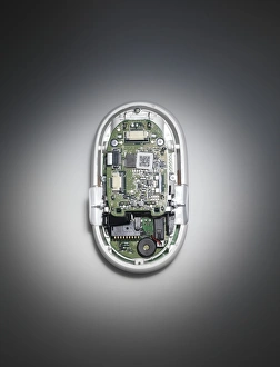 Computer Hardware Details Drucke: Computer mouse interior