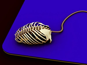 Drucke von Das Computermaus-Skelett ist ein kongruenter Bildkonzept eines Computers, das sich als Skeletton eines Mäuses darstellt Bilder Datiert 2005 April: Rechenmausgeblume, Computerkunstwerk