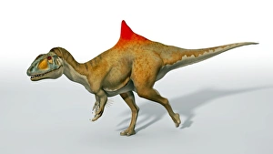 Drucke von Concavenator corcovatus ist ein Dinosaurier mit Hüftwulst, Computerkunstwerk Bilder Datiert 2011 Juni: Konkavensaurier-Dinosaurus Kunstwerk