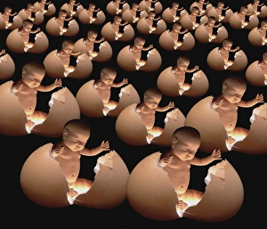 Stem Cell Research Drucke: Conceptual computer artwork of human cloning