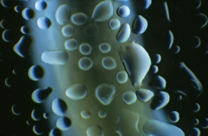 Water Droplets On Glass Drucke: Condensation on glass container