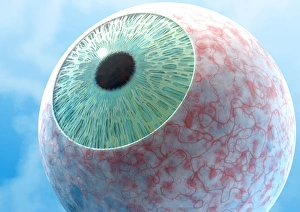 Konjunktivitis, konzeptuelle Kunstwerk
