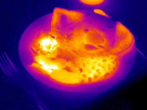 Drucke von Gebratene Frühstück. Thermogramm von gebratenem Frühstücksfleisch auf einem Teller. Die Farben zeigen Variationen in Temperatur Bilder Datiert 2004 März: Gekochter Frühstuck, Thermograph