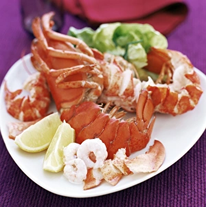 Crustacean Meal Drucke: Cooked lobster