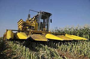 Agricultural Machinery Photos Drucke: Corn picker in a field C015 / 4179