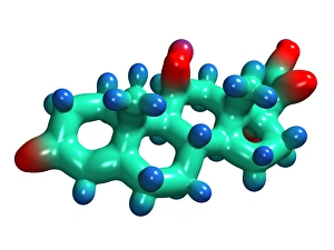 Blood Pressure Regulation Drucke: Cortisol hormone molecule