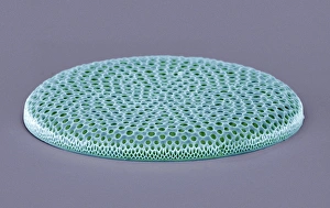 Diatom SEM Drucke: Coscinodiscus diatom, SEM