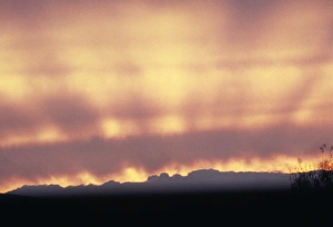 Horizon Landscape Photography Drucke: Crepuscular rays of light during sunset