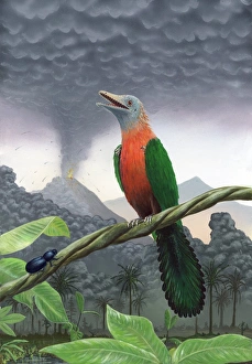 Bilder Datiert 9. Mai 2008: Kreidevogel, Kunstwerk