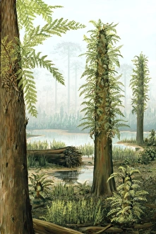 Bilder Datiert 15. August 2011: Kreidezeitige Laubfarnen, Kunstwerk