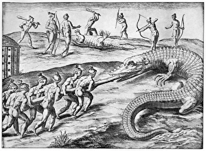 Drucke von Krokodiljagd. Ureinwohner aus Kalifornien jagen Krokodile. Gravur aus 'Brevis Narratio' von Theodore de Bry (1591) Bilder Datiert 2010 Juli: Krokodiljagd, Kunstwerk.