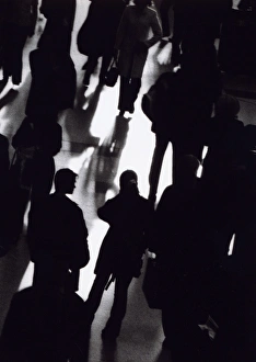 Crowd