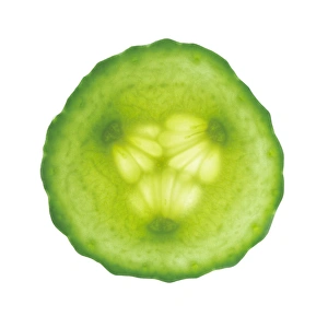 Fresh Cucumber Drucke: Cucumber slice