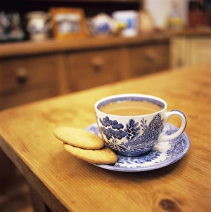 Drucke von Ein Becher Tee mit Biskuit serviert. Der Tee ist eine Infusion der Blätter des Teepflanzens (Camellia sinensis). Er enthält den Stimulans Koffein und wird oft mit Milch gesüßt Küche Drucke: Cup of tea