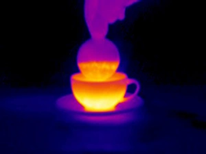 Drucke von Ein Becher Tee. Bild 4 von 4. Thermogramm einer Hand mit der Biscuit in einem Becher Tee. Die Farben zeigen Variationen im Temperaturverlauf Bilder Datiert 2004 März: Tasse Tee, Thermogramm
