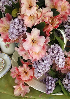Fresh Cut Flowers Drucke: Cut flowers