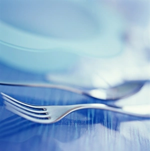 Stainless Steel Cutlery Drucke: Cutlery