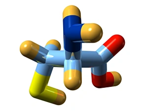 Amino Acid Structure Drucke: Cysteine, molecular model