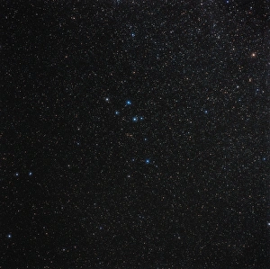 Space Astronomy Images Drucke: Delphinus constellation