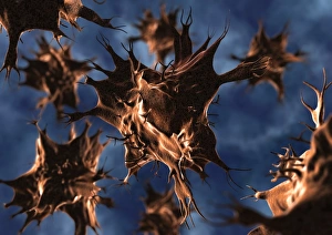Immune System Cells Drucke: Dendritic cell, computer artwork