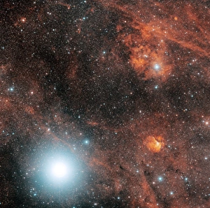 Emission Nebula Images Drucke: Deneb and emission nebulae